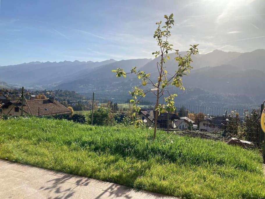 Casa Diaf Appartamento Incantevole Carano Ville Di Fiemme Dış mekan fotoğraf